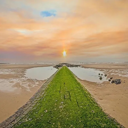 In With Sea View Apartment *